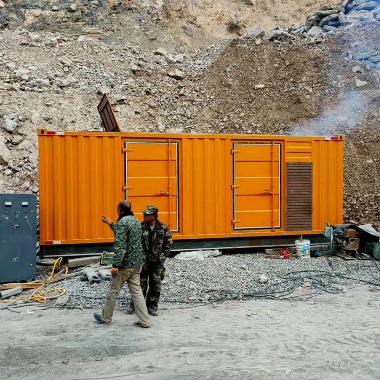 武定如何降低 200kW 柴油发电机在高海拔地区的油耗？